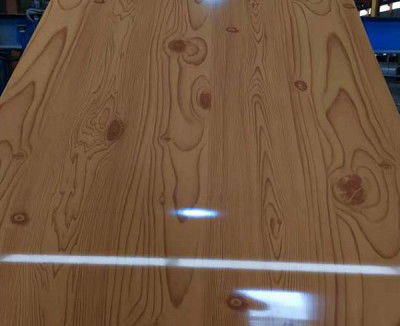Placca di acciaio laminato resistente al calore da 0,3 mm a 0,8 mm PE / PVDF