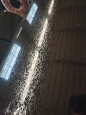 EVANGEL bobina in acciaio galvanizzato larghezza 600mm-1250mm per elettrodomestici
